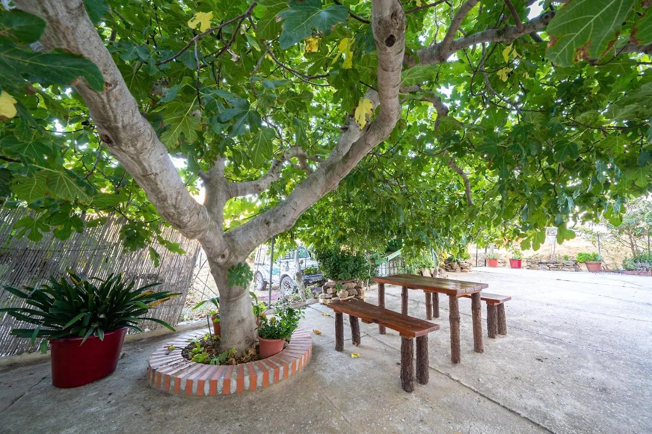 Hostal Vista A La Sierra Valle de Abdalagís 게스트하우스