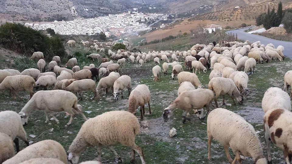 게스트하우스 Hostal Vista A La Sierra Valle de Abdalagís